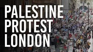Over 80,000 Pro-Palestinians Protest in London | Israel-Hamas war