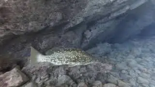 La Cueva del Diablo, El Hierro, Octubre de 2020