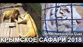 Lion Park of Taigan. The kingdom of lions in the heart of the Crimea. Crimean safari.
