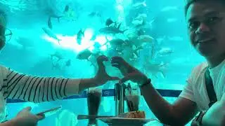 Ocean Park Cebu
