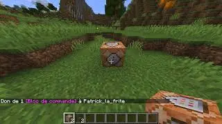 COMMENT AVOIR DES TETES PERSO DANS MINECRAFT!!!!!sans mode.