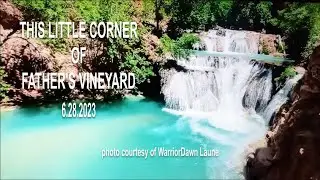 THIS LITTLE CORNER OF FATHER'S VINEYARD | 6 28 2023