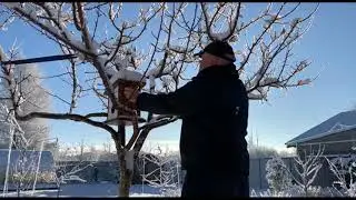 СПАСИТЕ ПТИЧКУ )!!!