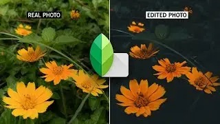 How to edit MOODY dark photos | Snapseed Malayalam Tutorial
