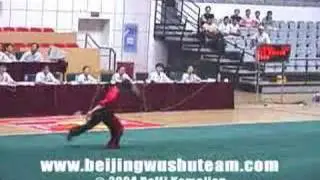 2004 China National Men's Team Wushu Competition VCD Trailer