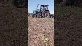 дтз в парі з мтз