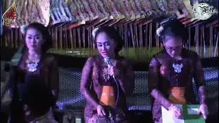 Wayang Kulit  Lakon Petruk Nagih Janji [Ki Seno Nugroho]