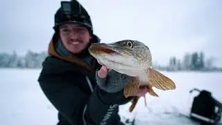Targeting TROPHY Pike on Early Ice