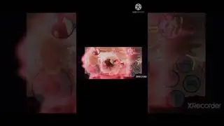 360° kick tornado kick