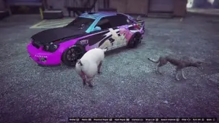 Gta 5 german hacker