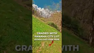 DJI Avata 2 Color Grading with FREE LUT #avata2