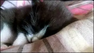 Малой храпит!!!