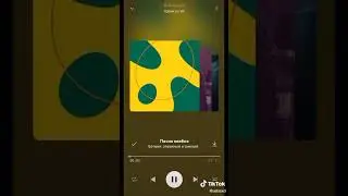 ИВАН ЗОЛО СПЛАГИАТИЛ ТРЕК?!
