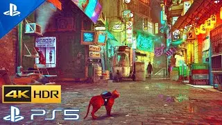 (PS5) STRAY Cat in a Massive Cyber City - IMMERSIVE RELAXING Gameplay [PS5 4K 60FPS HDR]