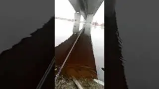 condor спининг 2-8гр