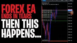 Forex robot live trading | making money with forex EA or automated trading software - live trading