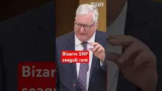 Bizarre SNP MSP seagull rant stuns Holyrood