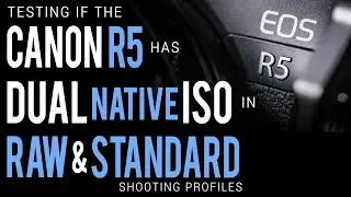 CANON R5: RAW and STANDARD DUAL NATIVE ISO TEST