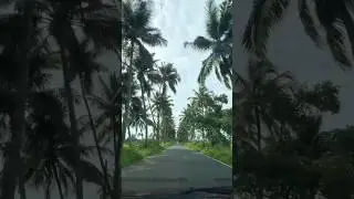 Goa | Family trip to Goa | #shorts #goavacation #goabeach