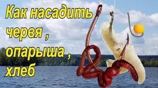 How to put a worm, maggot, or bread on a hook.