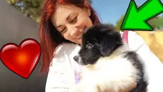 LA MIA NUOVA RAGAZZA E IL MIO NUOVO CANE!!! LOKI E VALERIA ❤️(ilvostrocaroDexter)