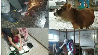 Приехал МУЖ - навëл ПОРЯДОК!!! 🤗🐂🐄🐖🐓🐈🌱