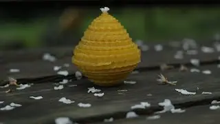 Яйцо из вощины