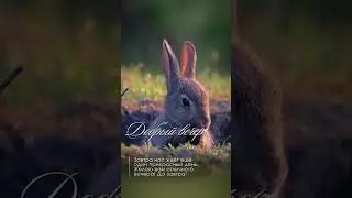 доброго вечера