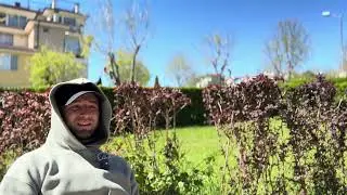 Психические расстройства, последствия