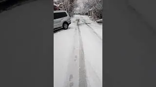 Зима! Декабрь 2018