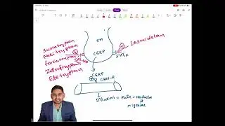 Learn Pathophysiology of Migraine or neural events and Drugs acting on 5HT1-receptors, CGRP blockers