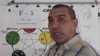 Точка F-5, ЛО Меридиана Печени.