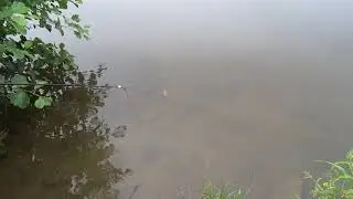 Podvodní splávek a živá rybka