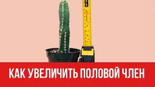 Как увеличить половой член || Юрий Прокопенко