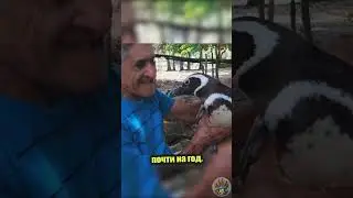 Маленькая история большой дружбы