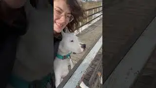 Иногда и до психолога доведут 😂 