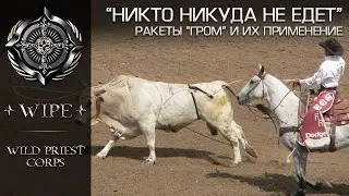 Elite Dangerous.  О ракетах 