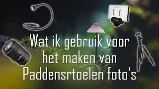 Wat ik gebruik voor het maken van Paddenstoelen foto's