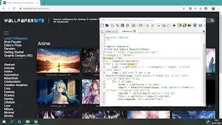 How to Create a Python Script to Download Wallpapers in Bulk