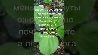 24 августа 2023 г.