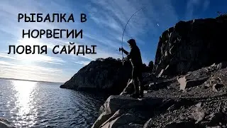 Рыбалка в Норвегии. Сайда идет одна за другой. Выпуск 14.