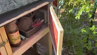 Automatic Chicken Coop Door - Five Minute Chicken Tips!
