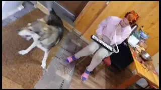 поющая 🐕 прикол 