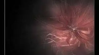 Tastexperience- Tantrix