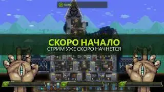 Сервер Ютуберов! Знакомнство! // Minecraft Last Cookie