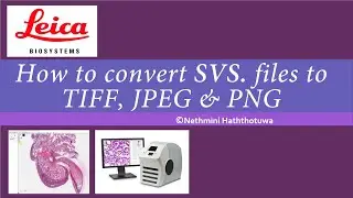 How to convert SVS files to Tiff, JPG or PNG