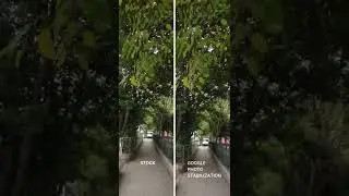 Use google photo stabilization.