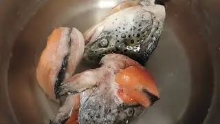 TÜY DÖKÜMÜNE SON - SOMONLU KÖPEK MAMASI