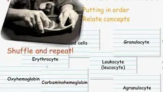 Flash Cards: Reducing Your Study Time