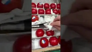 #помидоры #вопросответ